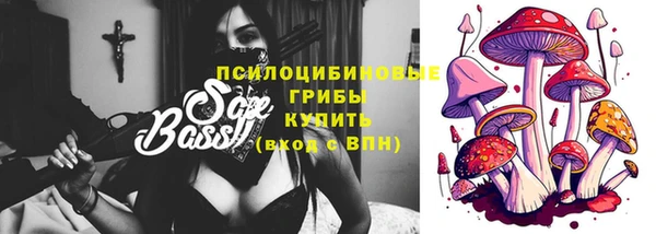 круглые Алзамай