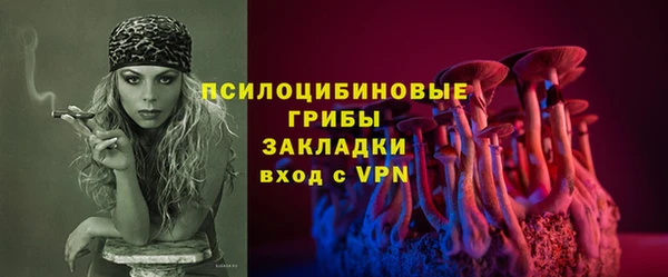 ECSTASY Инсар