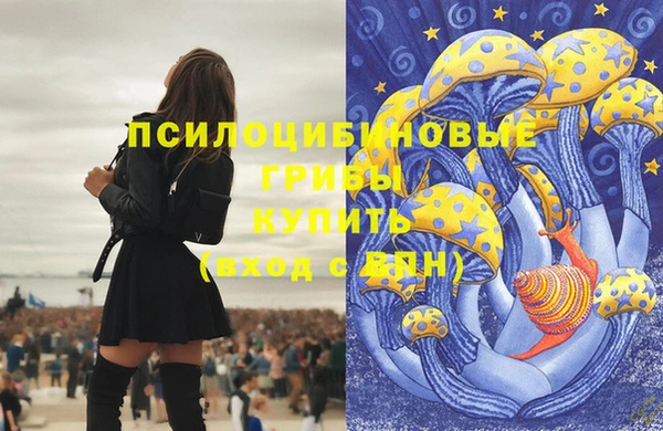 круглые Алзамай