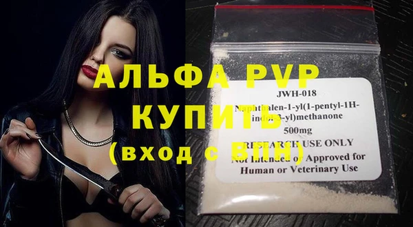 ECSTASY Инсар