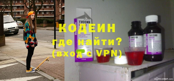 трава Инта